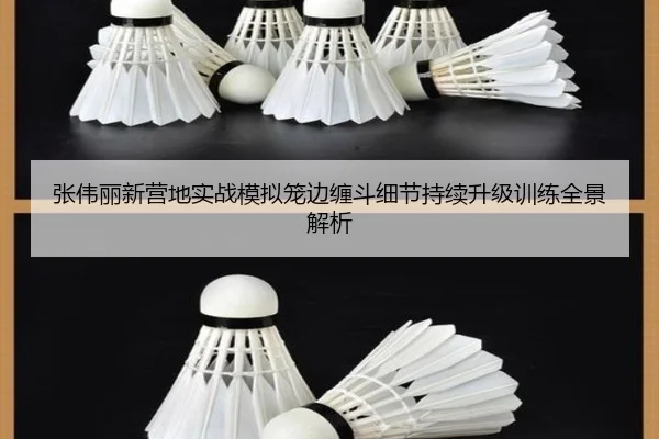 张伟丽新营地实战模拟笼边缠斗细节持续升级训练全景解析