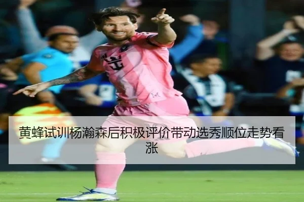黄蜂试训杨瀚森后积极评价带动选秀顺位走势看涨