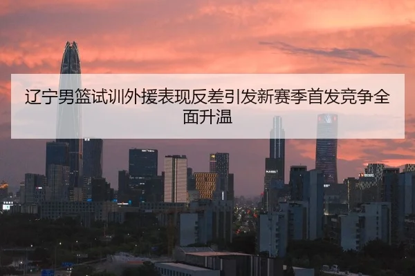 辽宁男篮试训外援表现反差引发新赛季首发竞争全面升温